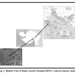 Fig. 1. Holistic View of Dakor Sacred Wetland (DSW), Central Gujarat, India
