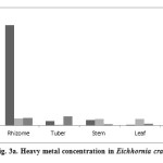 Fig. 3a. Heavy metal concentration in Eichhornia crassipes