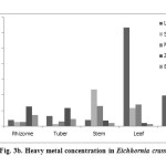 Fig. 3b. Heavy metal concentration in Eichhornia crassipes