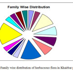 Fig. 3: Family wise distribution of herbaceous flora in Khairbar plantation site