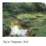 Fig 1a- Temporary  Pool 