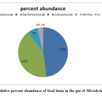 Figure 2. Relative percent abundance of food items in the gut of Microhyla ornata tadpoles.