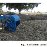Fig. 1 Cotton Stalk Shredder
