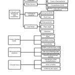 Chart 2- Effective Elements to make the decision in landslides-prone sites