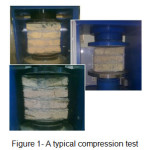 Figure 1- A typical compression test