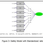 Figure 3- Safety Model with Standardized ratio
