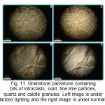 Fig. 11. Grainstone packstone containing bits of intraclasts, ooid, fine lime particles, quartz and calcite granules. Left image is under 40x polarized lighting and the right image is under normal lighting