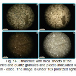 Fig. 14. Litharenite with mica sheets at the centre and quartz granules and pieces inoculated with iron - oxide. The image is under 10x polarized lighting