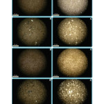 Fig. 19. Gerywacki containing quartz granules and rubbles, under 10x polarized lighting