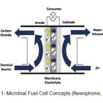 Figure 1- Microbial Fuel Cell Concepts (Newsphone, 2014).