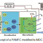 Figure 2- Concept of a PAMFC modified to MDC (Blogs, 2013).
