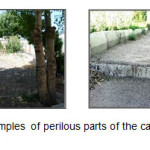 Figure 2&3- Samples of perilous parts of the campus in schools
