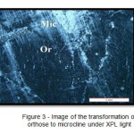Figure 3 - Image of the transformation of orthose to microcline under XPL light