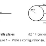 Figure 1 â€’  PlateÌ› s configuration (a, b)