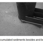 Figure 8 â€’ Accumulated sediments besides and behind of pier