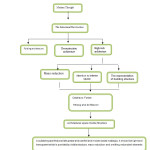 Diagram1- Process by creating a structural architecture