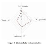 Figure 2 - Strategic factor evaluation matrix