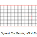 Figure 4: The Meshing  of Lab Flumes