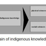 Figure 1 â€“ The domain of indigenous knowledge (source: authors)