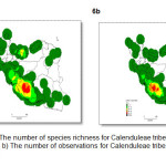 Figure 6. a) The number of species richness for Calenduleae tribe in Iran based on grid cells. b) The number of observations for Calenduleae tribe in Iran based on grid cells.