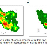 Figure 7. a) The number of species richness for Inuleae tribe in Iran based on grid cells. b) The number of observations for Inuleae tribe in Iran based on grid cells.