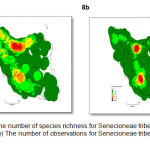 Figure 8. a) The number of species richness for Senecioneae tribe in Iran based on grid cells. b) The number of observations for Senecioneae tribe in Iran based on grid cells.