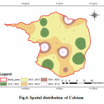 Fig.4. Spatial distribution of Calcium