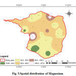 Fig. 5.Spatial distribution of Magnesium