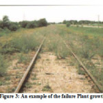 Figure 3: An example of the failure Plant growth