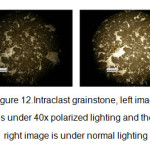 Figure 12.Intraclast grainstone, left image is under 40x polarized lighting and the right image is under normal lighting