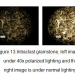 Figure 13.Intraclast grainstone, left image is under 40x polarized lighting and the right image is under normal lighting
