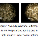 Figure 17.Mixed grainstone, left image is under 40x polarized lighting and the right image is under normal lighting