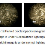 Figure 19.Pelloid bioclast packstone/grainstone, left image is under 40x polarized lighting and the right image is under normal lighting