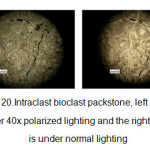Figure 20.Intraclast bioclast packstone, left image is under 40x polarized lighting and the right image is under normal lighting
