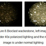 Figure 8.Bioclast wackestone, left image is under 40x polarized lighting and the right image is under normal lighting