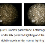Figure 9.Bioclast packestone. Left image is under 40x polarized lighting and the right image is under normal lighting
