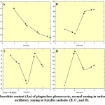 Fig. 6: Anorthite content (An) of plagioclase phenocrysts, normal zoning in andesite (A), oscillatory zoning in basaltic-andesite (B, C, and D).