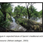 Figure 4- expected future of Qazvin`s traditional orchards Resource: (Akhavi zadegan., 2003)