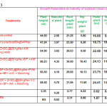 Table 3