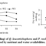 Fig. 1: Dry mass (g/ seedling) of Q. leucotrichophora and P. roxburghii seedlings as affected by nutrient and water availabilities.