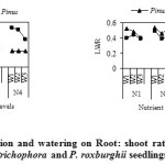 Fig. 2: Effect of fertilization and watering on Root: shoot ratio and Leaf weight ratio (LWR) of Q. leucotrichophora and P. roxburghii seedlings.