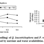 Fig. 4: Nitrogen mass (g/ seedling) of Q. leucotrichophora and P. roxburghii seedlings as affected by nutrient and water availabilities.