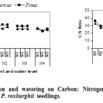 Fig. 5: Effect of fertilization and watering on Carbon: Nitrogen: ratio (C:N) of Q. leucotrichophora and P. roxburghii seedlings.