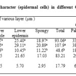 Table 3: Variability of anatomical character (epidermal cells) in different Gladiolus cultivars under same stress condition