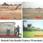 Fig. 1a: Bedauli Nala Bandh (Nakteya Watershed) Plot: 1A