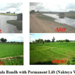 Fig. 1b: Bedauli Nala Bandh with Permanent Lift (Nakteya Watershed) Plot: 1A