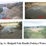 Fig. 1c: Hadgadi Nala Bandh (Nakteya Watershed) 