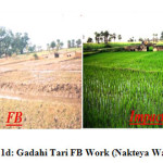 Fig. 1d: Gadahi Tari FB Work (Nakteya Watershed)