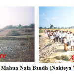 Fig. 1e: Mahua Nala Bandh (Nakteya Watershed) 