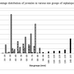 Figure 1 Percentage distribution of juveniles in various size groups of cephalopods 